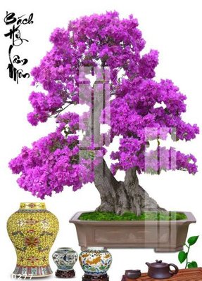 File tranh File gốc in tranh tổng hợp K30277 (bản gốc) in canvas