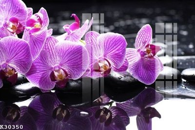 Mua file tranh gốc File gốc in tranh tổng hợp K30350 tại Filetranh.com