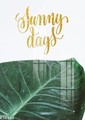 File in trần File gốc in tranh tổng hợp K30405 (file gốc) xuyên sáng