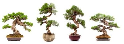 Tải về file tranh gốc File gốc in tranh tổng hợp K30571 (để in quảng cáo)