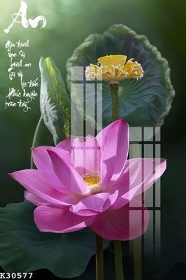 File gốc File gốc in tranh tổng hợp K30577 (AI/EPS) cho in ấn