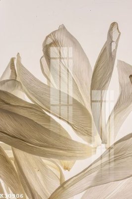 File tranh File gốc in tranh tổng hợp K30906 (bản gốc) in canvas