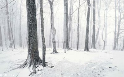 File in ấn File gốc in tranh tổng hợp K30917 chuyên nghiệp