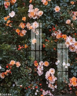 File gốc File gốc in tranh tổng hợp K31184 (trang trí) phòng ngủ