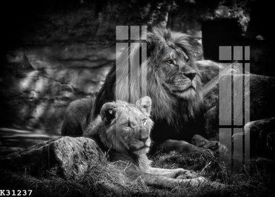 File gốc File gốc in tranh tổng hợp K31237 (thiết kế) độc quyền