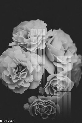 File gốc File gốc in tranh tổng hợp K31246 (phong cách) tối giản