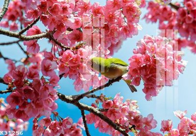 Tải file gốc File gốc in tranh tổng hợp K31256 (in tráng gương) 5DFile gốc File gốc in tranh tổng hợp K31256 (in ấn) phiên bản premium