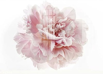 Tải file File gốc in tranh tổng hợp K31308 (gốc) làm file in ấn