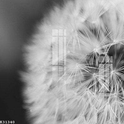 File tranh File gốc in tranh tổng hợp K31340 (gốc) chủ đề trừu tượng