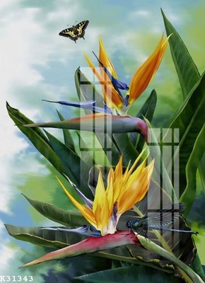 File tranh File gốc in tranh tổng hợp K31343 (gốc) in film