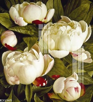 File tranh File gốc in tranh tổng hợp K31365 (bản gốc) treo phòng ăn