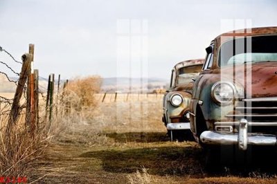 File tranh File gốc in tranh tổng hợp K3145 (gốc) chủ đề trẻ em