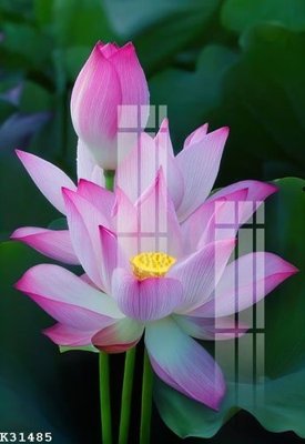 Tải file File gốc in tranh tổng hợp K31485 (gốc) để in ấn ngay