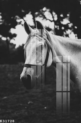 Tải file gốc File gốc in tranh tổng hợp K31728 dùng cho in ấn