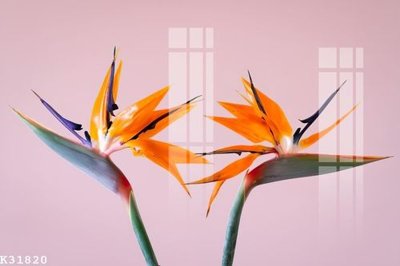 File tranh File gốc in tranh tổng hợp K31820 (gốc) chủ đề trẻ em