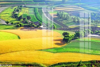 Ảnh gốc File gốc in tranh tổng hợp K31939 (độ nét cao) in tráng gương