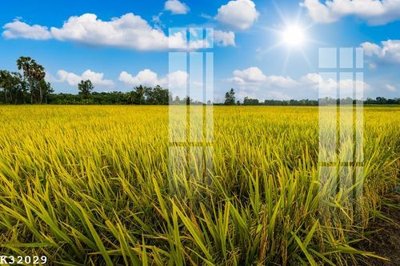 File gốc File gốc in tranh tổng hợp K32029 (phong cách) châu Âu