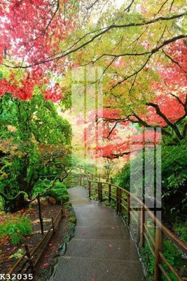 Download file gốc File gốc in tranh tổng hợp K32035 (độ nét cao)