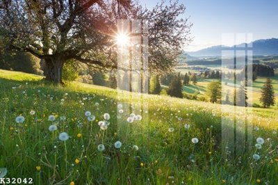 Tải về file tranh gốc File gốc in tranh tổng hợp K32042 (để in quảng cáo)