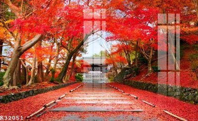 File ảnh File gốc in tranh tổng hợp K32051 (gốc) cho trang trí nội thất