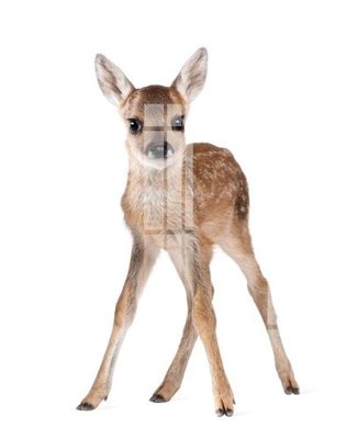 Tải file tranh File gốc in tranh tổng hợp K32138 (gốc) tại Filetranh.com