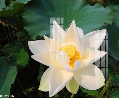 File gốc File gốc in tranh tổng hợp K32206 (cho in ấn) từ Filetranh.com