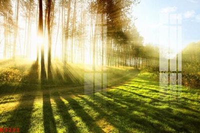 File gốc File gốc in tranh tổng hợp K3221 (in mica) trang trí