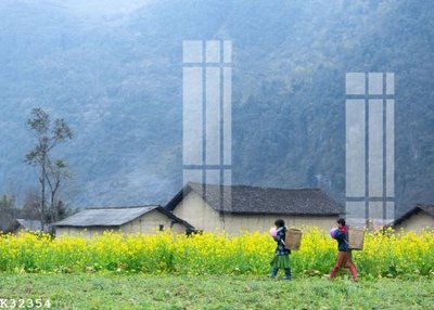 Tải file File gốc in tranh tổng hợp K32354 (gốc) in ấn chất lượng