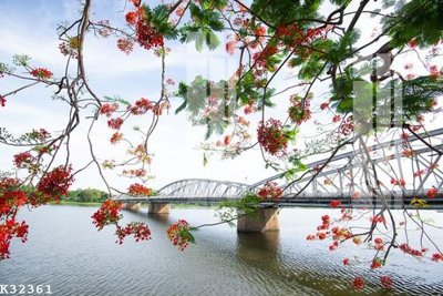 Tải file File gốc in tranh tổng hợp K32361 (gốc) chủ đề phong thủy