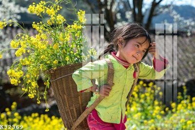 File in mica File gốc in tranh tổng hợp K32369 (bản gốc) sắc sảo