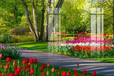 Tải file gốc in lụa File gốc in tranh tổng hợp K3250 siêu nét