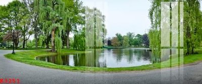 Download file File gốc in tranh tổng hợp K3251 (chuẩn in) File gốc in tranh tổng hợp K3251