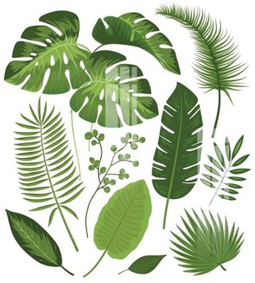 File gốc File gốc in tranh tổng hợp K33405 (AI/EPS) cho in ấn