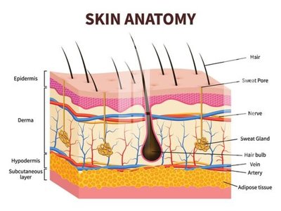 File in trần File gốc in tranh tổng hợp K33737 (bản gốc) trời sao