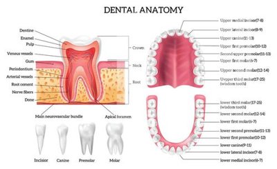 File gốc File gốc in tranh tổng hợp K33784 (vector) cho in ấn