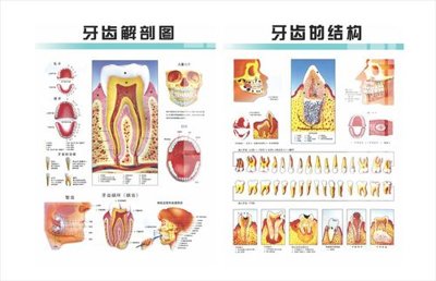 File gốc File gốc in tranh tổng hợp K34162 (chuẩn màu) cho in offset