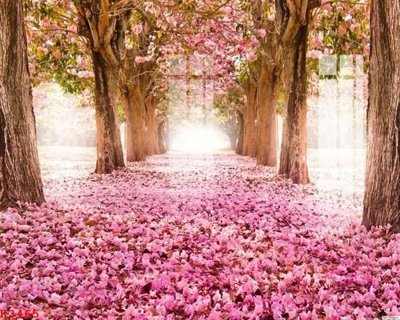 Tải file PSD File gốc in tranh tổng hợp K3465 (nguyên layer) để in