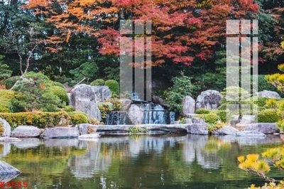 Ảnh gốc File gốc in tranh tổng hợp K3555 (độ nét cao) in tráng gương