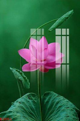 File gốc File gốc in tranh tổng hợp K3561 (ảnh chi tiết) để in trần