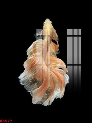 File gốc File gốc in tranh tổng hợp K3577 (in mica) làm quà tặng