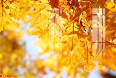 File ảnh File gốc in tranh tổng hợp K3762 (gốc) in Hiflex