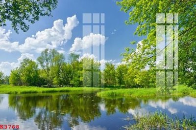 File tranh File gốc in tranh tổng hợp K3768 (gốc) in backlit film