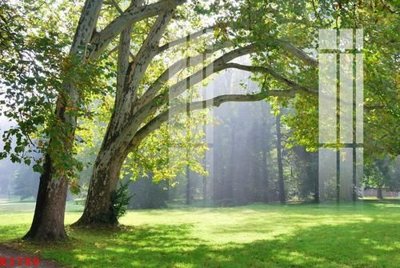 File in ấn File gốc in tranh tổng hợp K3789 (bản gốc) chất lượng cao