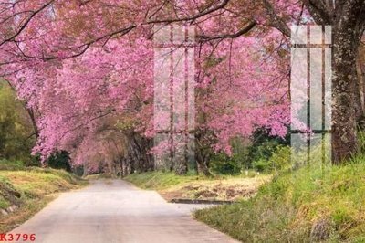 File gốc in ấn File gốc in tranh tổng hợp K3796 chuẩn màu CMYK