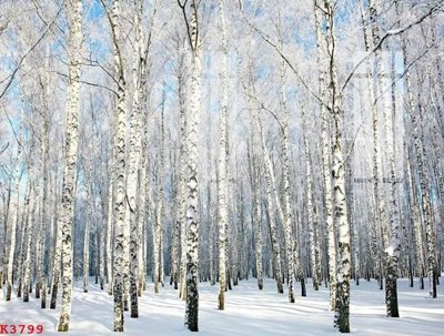 File ảnh File gốc in tranh tổng hợp K3799 (gốc) in standee