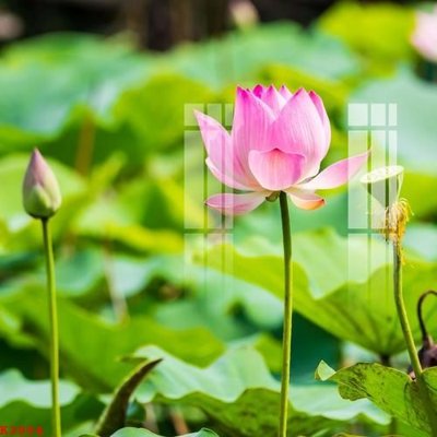 File ảnh File gốc in tranh tổng hợp K3804 (gốc) in Hiflex