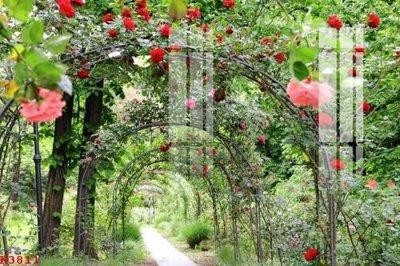 File gốc File gốc in tranh tổng hợp K3811 (AI/EPS) cho in ấn