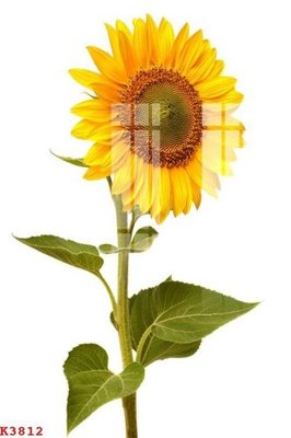 Tệp tin gốc File gốc in tranh tổng hợp K3812 (chất lượng cao) File gốc in tranh tổng hợp K3812