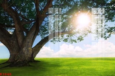 File in trần File gốc in tranh tổng hợp K3848 (file gốc) xuyên sáng