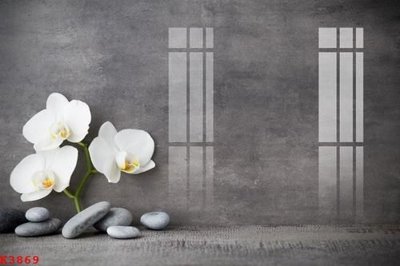 Cung cấp file tranh gốc File gốc in tranh tổng hợp K3869 độc quyền